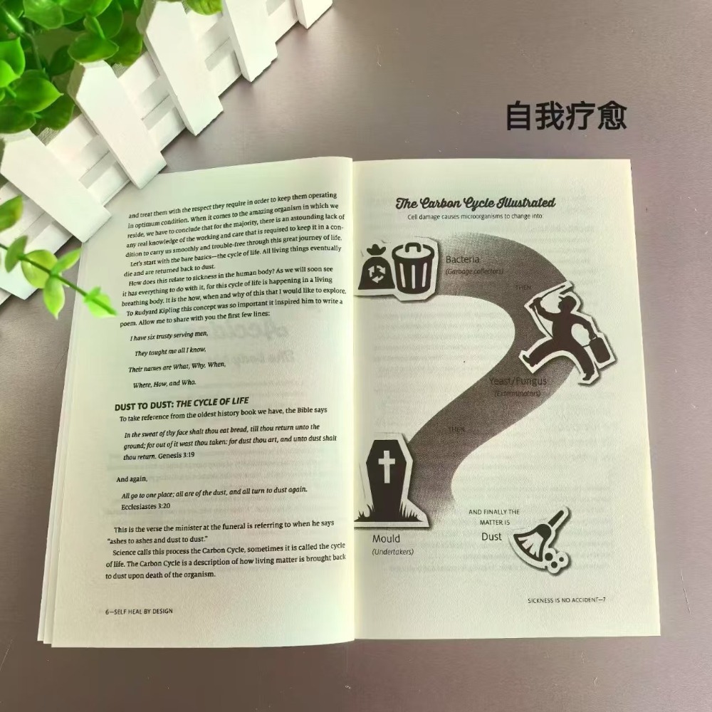 Self Heal By Design English Pa - Holistic Health & Wellness review and price