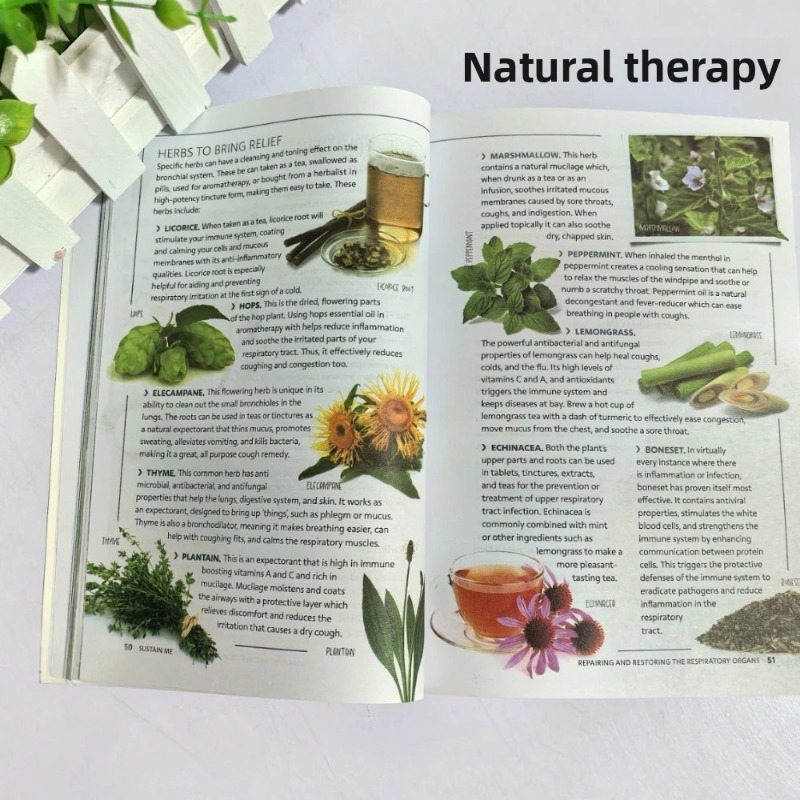 Sustain Me Barbara O'Neill A H - Health Wellness Foundation review and price