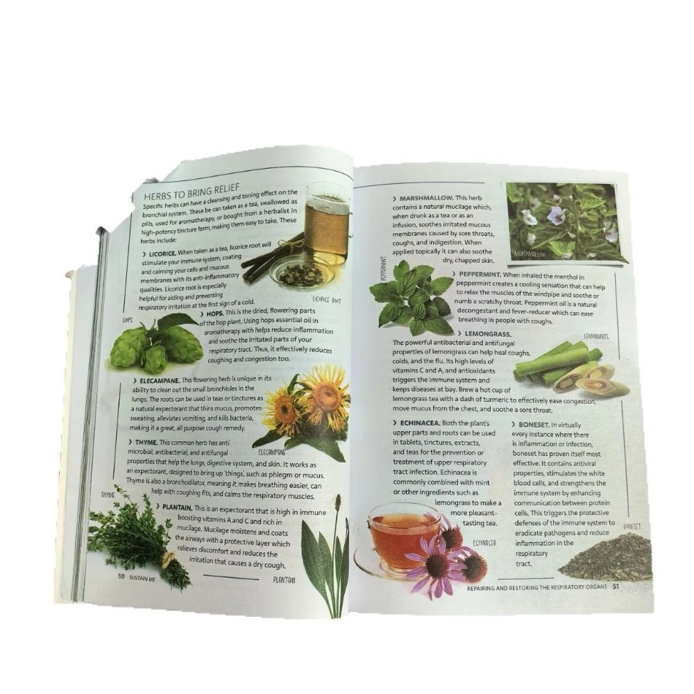 Sustain Me English Paperback b - Health Wellness Foundation review and price