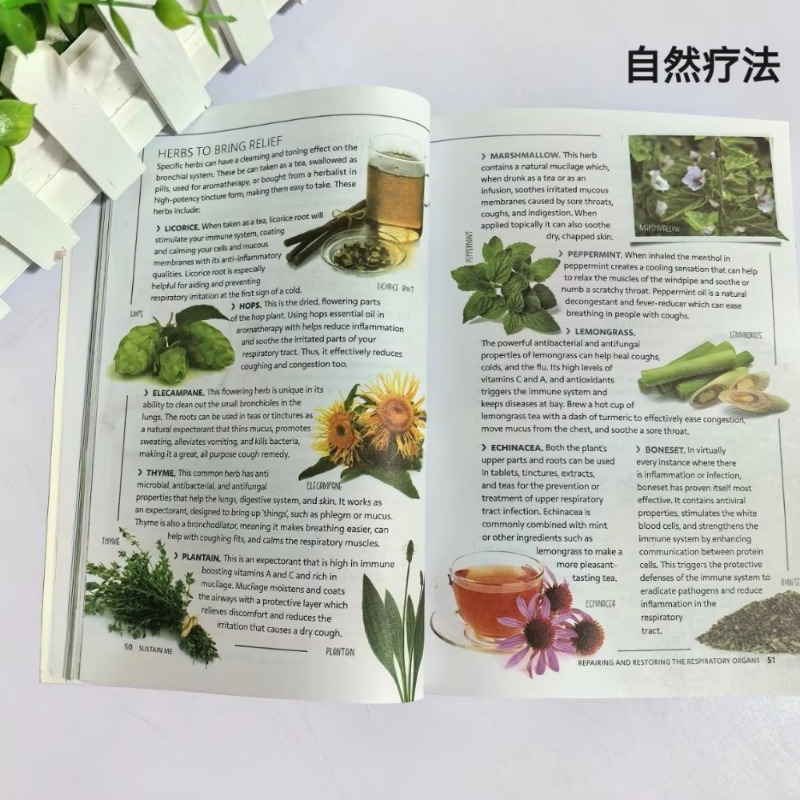 Sustain Me English Paperback B - Health Wellness Foundation review and price