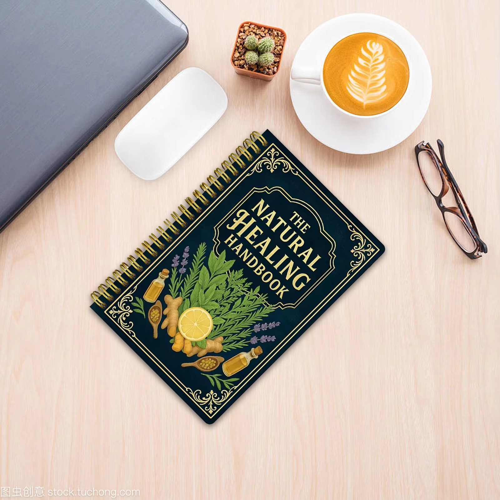 Healing Handbook By Luna Filby - Holistic Health & Wellness review and price