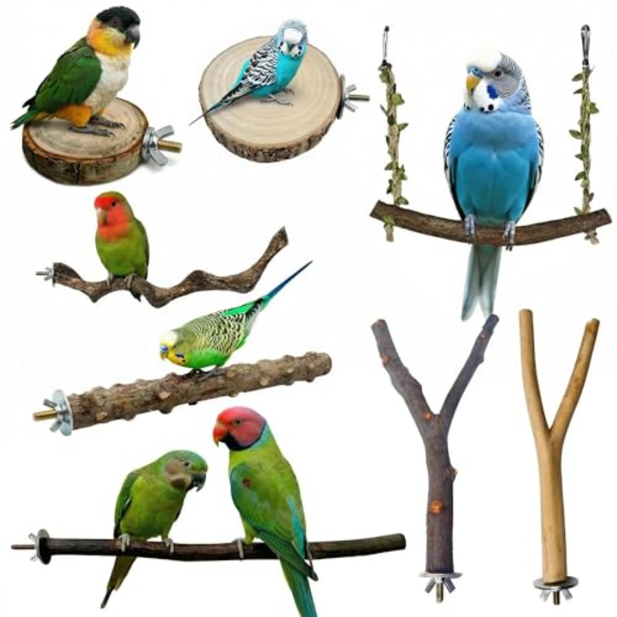 8PCS natural wood bird perches - Health & Wellness Festival review and price