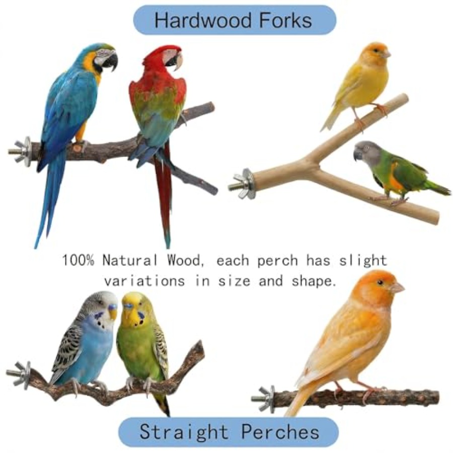8PCS natural wood bird perches - Health & Wellness Festival review and price