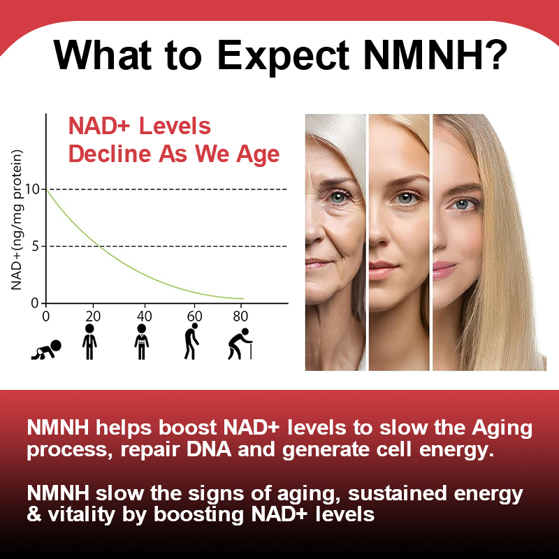 High Liposomal NMNH 500mg Supp - Holistic Health & Wellness review and price