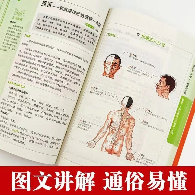 Holistic Health & Wellness Ser - Holistic Health & Wellness review and price