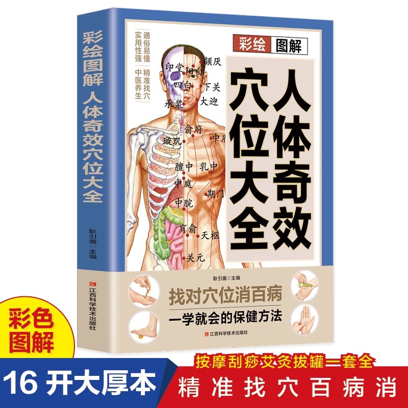 Acupoint Massage & TCM Health  - Health & Wellness Festival review and price