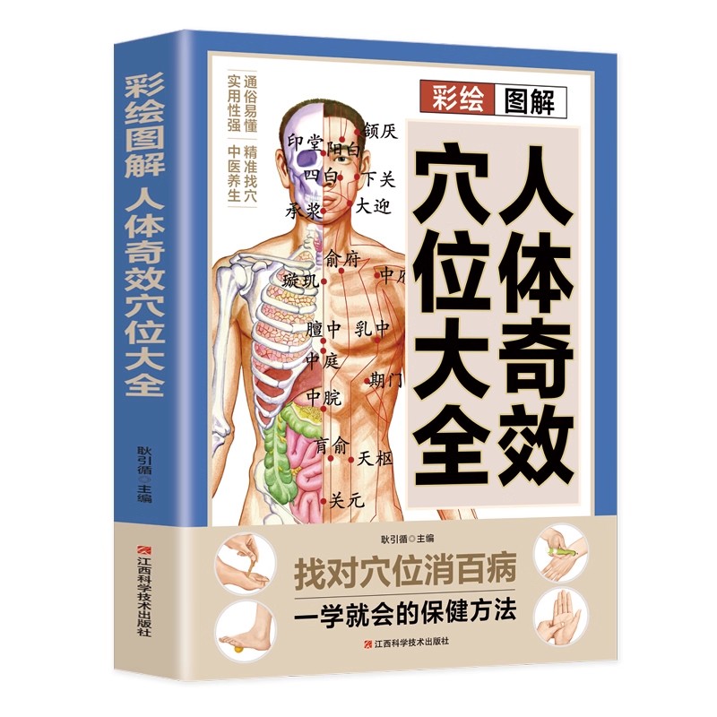 Acupoint Massage & TCM Health  - Health & Wellness Festival review and price